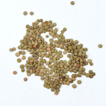 Exporter Available Best Quality New Crop Agricultural Products Naturel Lentil For Wholesale